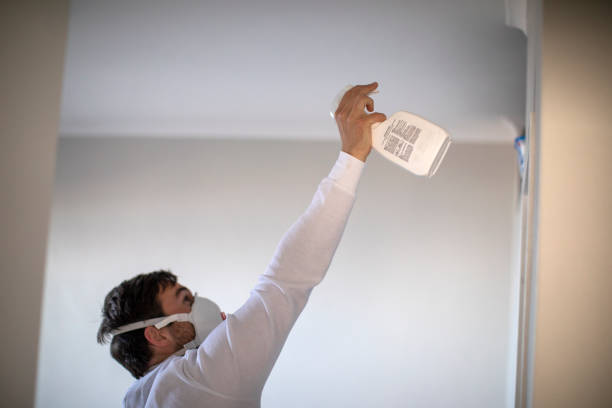 Best Local Mold Removal Service  in Dripping Springs, TX