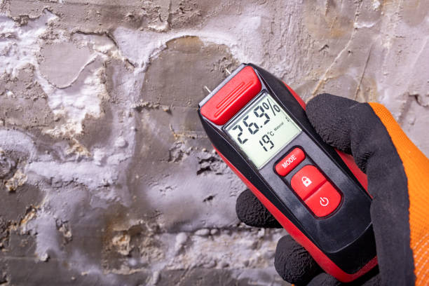 Best Office Mold Removal Services  in Dripping Springs, TX