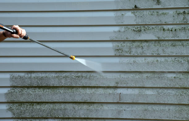 Home Mold Removal in Dripping Springs, TX